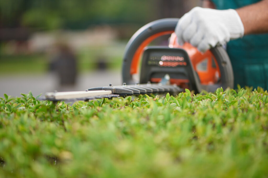 commercial-landscaping