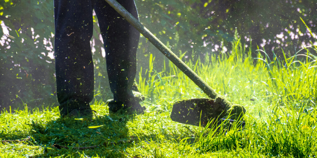 grass-cutting